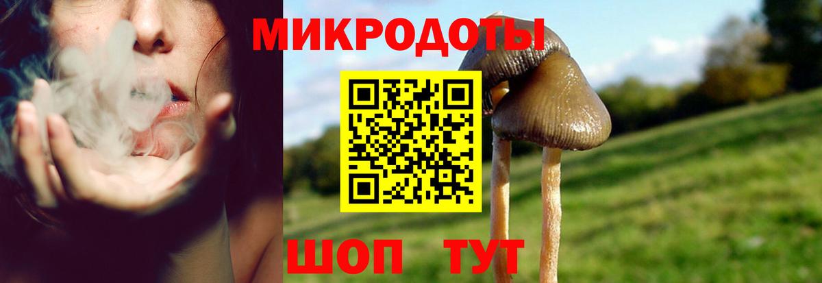 Галлюциногенные грибы мухоморы Ступино
